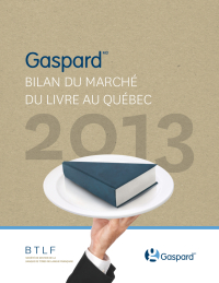 rapport-Gaspard-bilan-2013